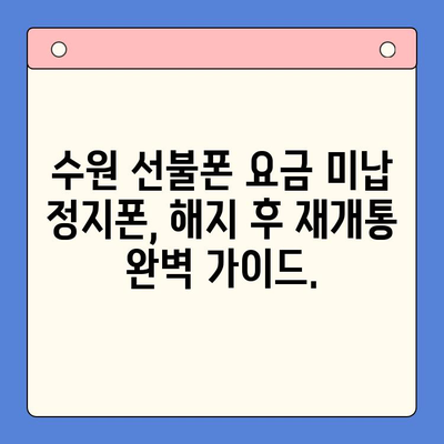 수원 선불폰 요금 미납 정지폰 해지 후 재개통 완벽 가이드 | 선불폰 개통, 요금 미납, 정지 해제