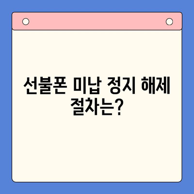 선불폰 미납 정지 해제 후 핸드폰 개통, 바로 가능할까요? | 선불폰, 미납, 해지, 개통, 방법