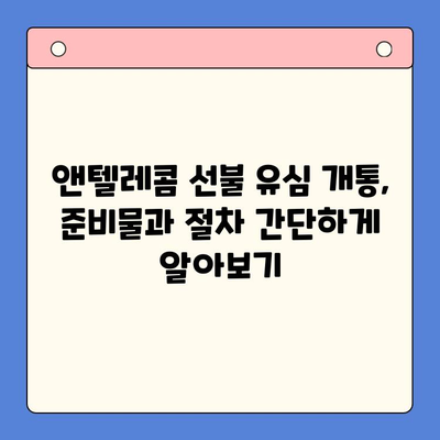 편의점에서 앤텔레콤 선불 유심 개통하고 바로 사용하기 | 앤텔레콤, 선불 유심, 편의점 개통, 사용 가이드