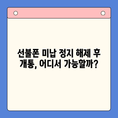 선불폰 미납 정지 해제 후 핸드폰 개통, 지금 바로 가능할까요? | 선불폰, 미납, 정지 해제, 개통, 가이드