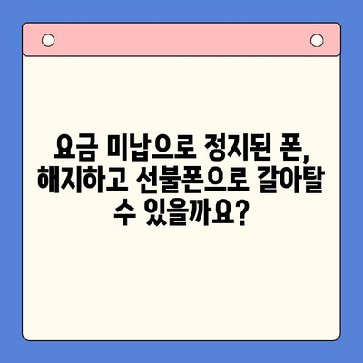 수원 선불폰 요금 미납 정지폰 개통 가능할까요? | 정지폰 해지, 선불폰 개통, 수원 지역 정보