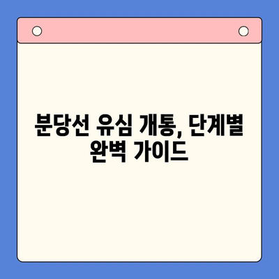 분당선 불폰 유심으로 개통하고 사용하는 방법| 단계별 가이드 | 분당선, 불량폰, 유심, 개통, 사용