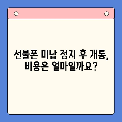 선불폰 미납 정지 후 핸드폰 개통, 비용과 절차 완벽 가이드 | 선불폰, 미납, 정지, 해지, 개통