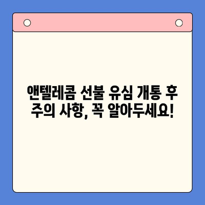 편의점에서 앤텔레콤 선불 유심 개통하기| 상세 가이드 | 앤텔레콤, 선불 유심, 개통 방법, 편의점