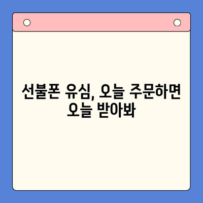 주말에도 OK! 선불폰 즉시 개통 & 사용 가이드 | 당일 개통, 유심 배송, 요금제 비교