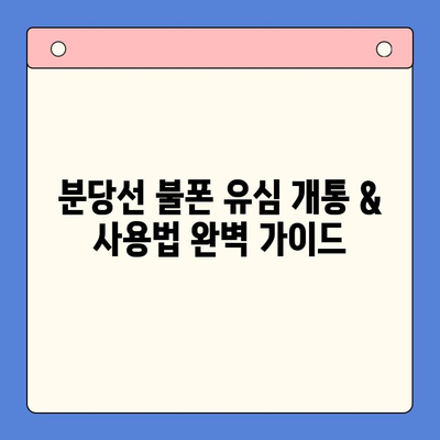 분당선 불폰 유심 개통 & 사용법 완벽 가이드 | 개통 절차, 요금제 추천, 데이터 설정