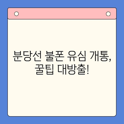 분당선 불폰 유심 개통 & 사용법 완벽 가이드 | 개통 절차, 요금제 추천, 데이터 설정