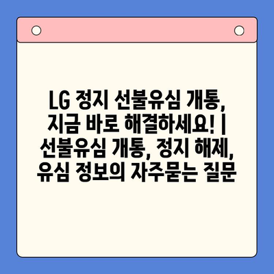 LG 정지 선불유심 개통, 지금 바로 해결하세요! | 선불유심 개통, 정지 해제, 유심 정보