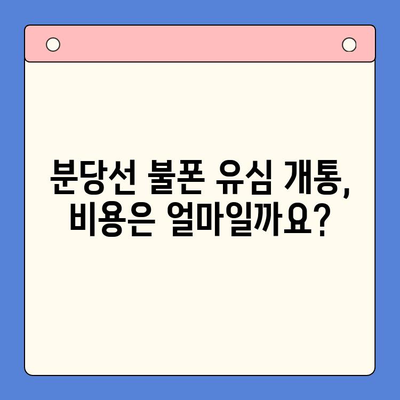 분당선 불폰 편의점 유심 개통, 소요 비용과 함께 알아보세요 | 유심 개통, 비용, 분당선, 편의점