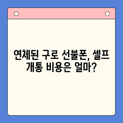 구로 선불폰 연체 후 셀프 개통, 비용과 방법 총정리 | 선불폰, 연체, 개통, 비용, 방법, 구로