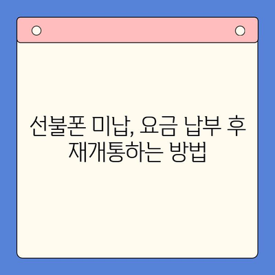 선불폰 미납 정지 후, 핸드폰 개통 가능할까요? | 해지, 재개통, 요금 납부, 주의 사항