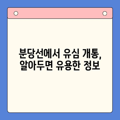 분당선 불량폰 유심, 편의점에서 개통 가능할까요? | 유심 개통, 불량폰, 편의점, 분당선