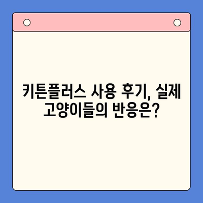 키튼플러스 성장 영양제 가격 비교 & 리뷰 | 냥냥이 건강을 위한 선택 | 키튼플러스, 고양이 영양제, 성장, 가격, 리뷰, 추천