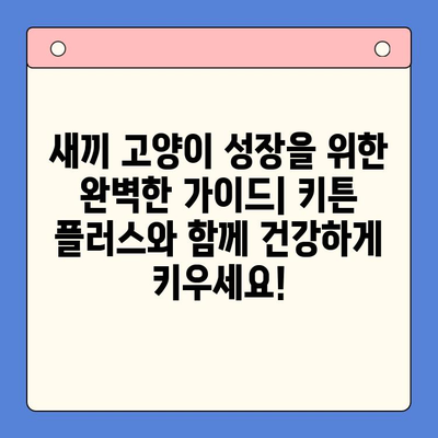 키튼 플러스| 성장에 필요한 모든 것, 한 번에! | 키튼 플러스, 고양이 성장, 영양, 건강 관리, 팁