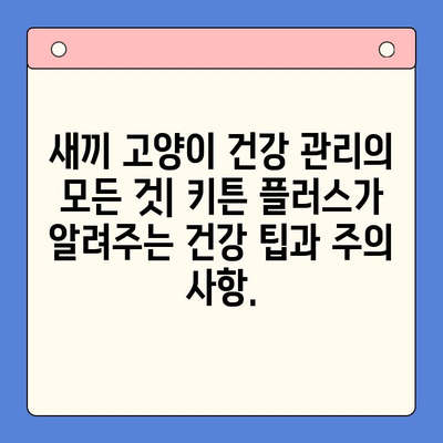 키튼 플러스| 성장에 필요한 모든 것, 한 번에! | 키튼 플러스, 고양이 성장, 영양, 건강 관리, 팁