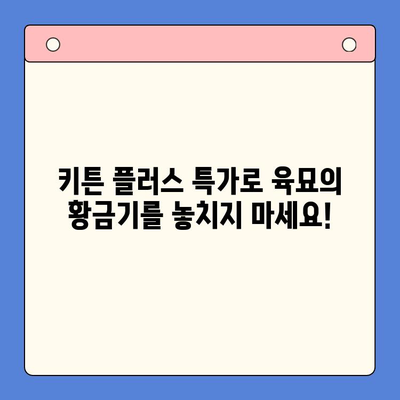 키튼 플러스 골든타임 특가 이벤트| 지금 바로 성장 기회를 잡으세요! | 키튼 플러스, 특가, 성장, 육묘