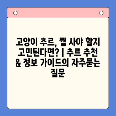 고양이 추르, 뭘 사야 할지 고민된다면? | 추르 추천 & 정보 가이드