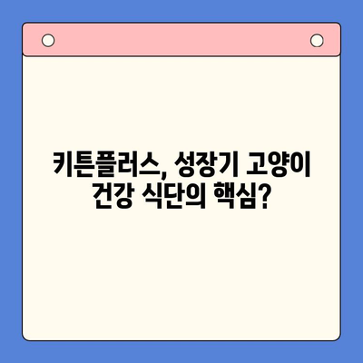 성장기 키튼플러스, 정말 좋은 음식일까요? | 고양이 성장, 건강 식단, 키튼플러스 장단점