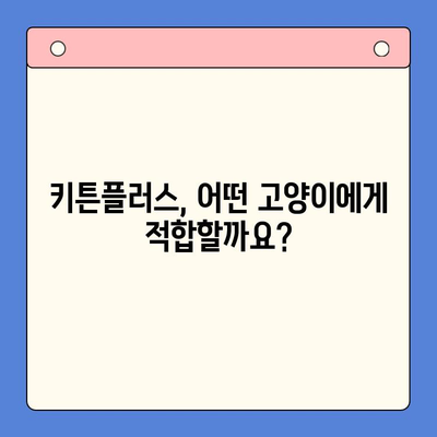 성장기 키튼플러스, 정말 좋은 음식일까요? | 고양이 성장, 건강 식단, 키튼플러스 장단점