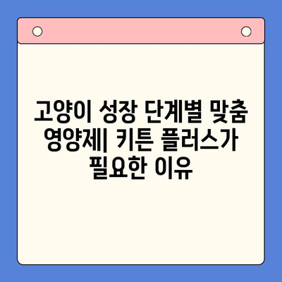 키튼 플러스 가격 비교| 고양이 성장 단계별 효과적인 영양제 선택 가이드 | 키튼 플러스, 고양이 영양제, 성장 단계, 가격 비교