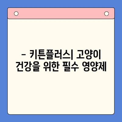 키튼플러스 효과, 가격, 주의사항 총정리 | 반려묘 건강, 영양, 제품 정보