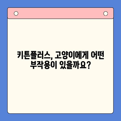 키튼플러스 효과, 가격, 주의사항 완벽 가이드 | 반려묘 건강, 영양, 부작용