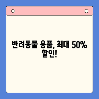 키튼플러스 이벤트 특가 가격 안내 | 최대 50% 할인 혜택, 지금 바로 확인하세요!