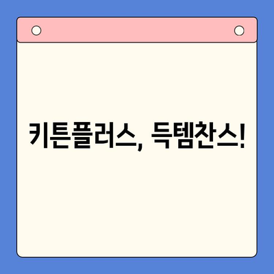 키튼플러스 이벤트 특가 가격 안내 | 최대 50% 할인 혜택, 지금 바로 확인하세요!