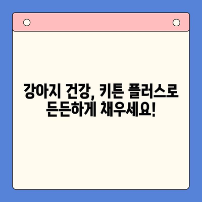 키튼 플러스 애견 영양제| 가성비 넘치는 선택 | 강아지 영양제 추천, 가격 비교, 후기