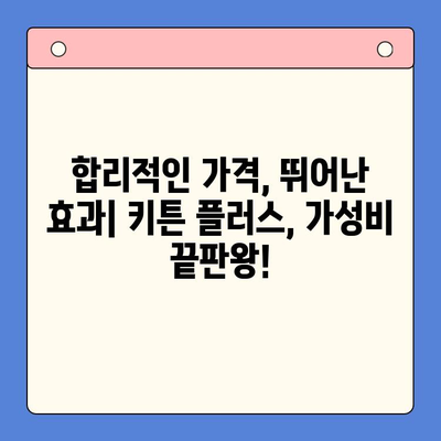 키튼 플러스 애견 영양제| 가성비 넘치는 선택 | 강아지 영양제 추천, 가격 비교, 후기