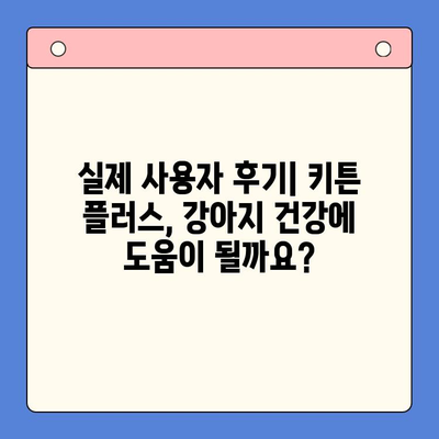 키튼 플러스 애견 영양제| 가성비 넘치는 선택 | 강아지 영양제 추천, 가격 비교, 후기