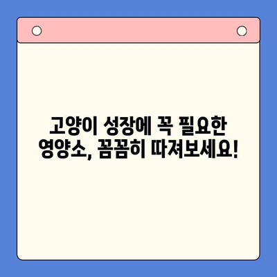 키튼플러스 가성비 검토| 성장 영양제 선택 가이드 | 고양이, 성장, 영양제, 가성비 비교