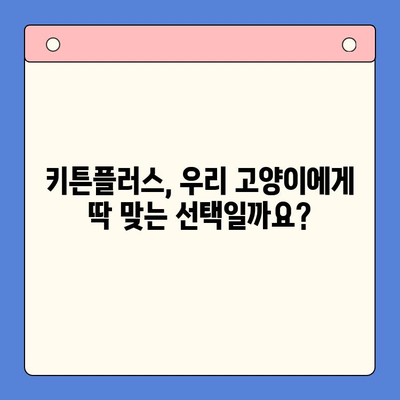 키튼플러스 가성비 검토| 성장 영양제 선택 가이드 | 고양이, 성장, 영양제, 가성비 비교