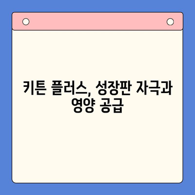 키튼 플러스 가격, 원료, 성장 관리 후기| 초등학생 키 성장 고민 해결 솔루션 | 키튼 플러스, 성장판, 영양제, 후기, 가격, 원료