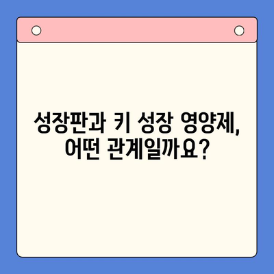 초등학생 키 성장, 키튼 플러스 vs 비교 제품| 어떤 영양제가 효과적일까요? | 성장판, 키 성장 영양제, 초등학생 건강