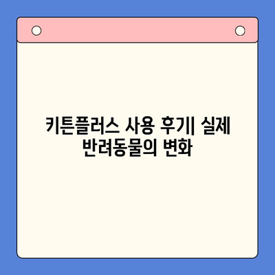 키튼플러스 비용 대비 효과| 성장 관리 필수템? 🐶 | 반려동물 성장, 건강 관리, 키튼플러스 장단점