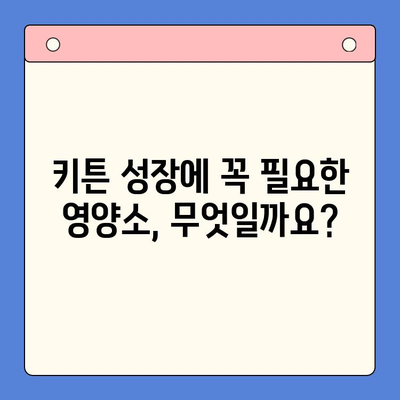 키튼 플러스| 고양이 성장을 위한 가성비 영양제 선택 가이드 | 키튼, 고양이 영양제, 성장, 건강, 가격 비교