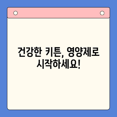 키튼 플러스| 고양이 성장을 위한 가성비 영양제 선택 가이드 | 키튼, 고양이 영양제, 성장, 건강, 가격 비교