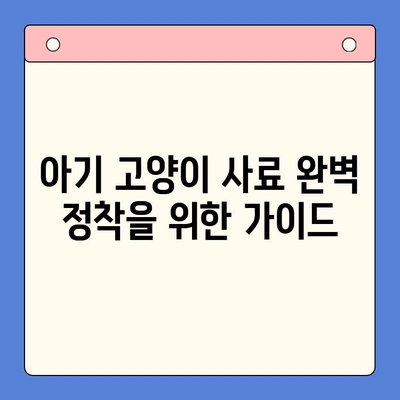 아기 고양이 사료 완벽 정착| 키튼 사료 비교 & 인도어 고양이 사료 연구 | 고양이 사료 추천, 키튼, 인도어, 건강