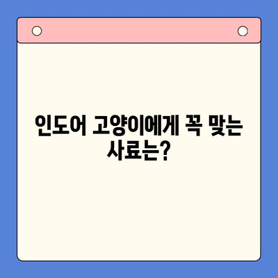 아기 고양이 사료 완벽 정착| 키튼 사료 비교 & 인도어 고양이 사료 연구 | 고양이 사료 추천, 키튼, 인도어, 건강