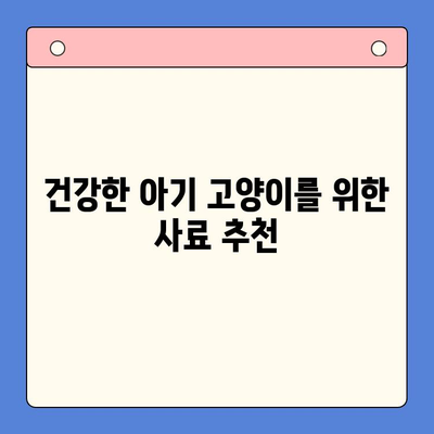 아기 고양이 사료 완벽 정착| 키튼 사료 비교 & 인도어 고양이 사료 연구 | 고양이 사료 추천, 키튼, 인도어, 건강