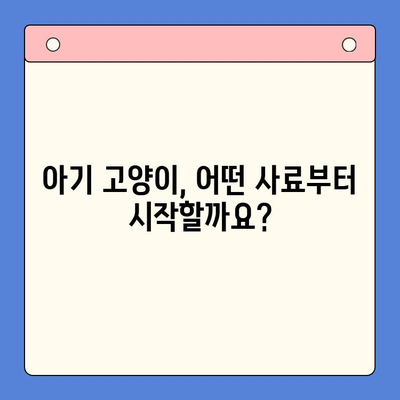 아기 고양이 사료 정착 & 성장 제품 비교 체험| 냥이 엄마를 위한 맞춤 가이드 | 고양이 사료 추천, 성장 단계별 제품, 체험 후기