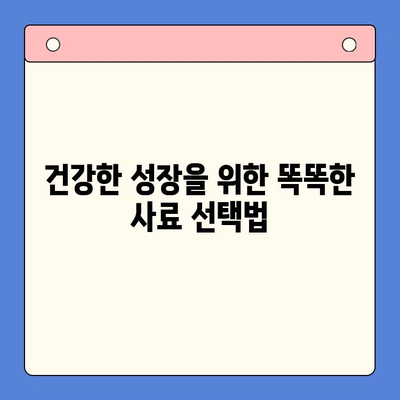 아기 고양이 사료 정착 & 성장 제품 비교 체험| 냥이 엄마를 위한 맞춤 가이드 | 고양이 사료 추천, 성장 단계별 제품, 체험 후기