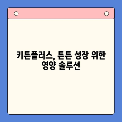 키튼플러스| 초등학생 영양제, 가성비 끝판왕! | 키튼플러스, 초등학생 영양제 추천, 가성비 영양제