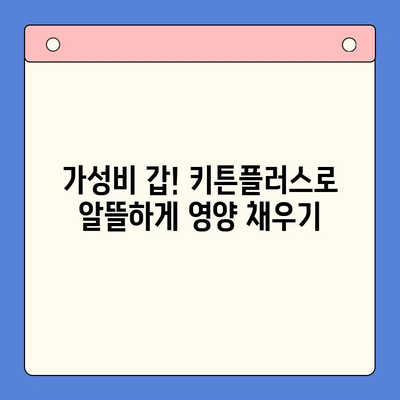 키튼플러스| 초등학생 영양제, 가성비 끝판왕! | 키튼플러스, 초등학생 영양제 추천, 가성비 영양제