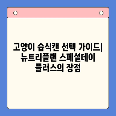 뉴트리플랜 스페셜데이 플러스 습식캔 영양 성분 완벽 분석 | 고양이 건강, 영양 관리, 습식캔 비교