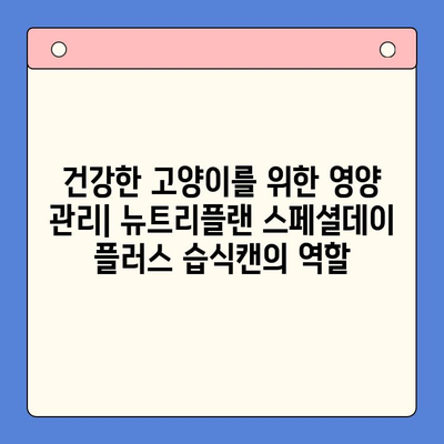 뉴트리플랜 스페셜데이 플러스 습식캔 영양 성분 완벽 분석 | 고양이 건강, 영양 관리, 습식캔 비교