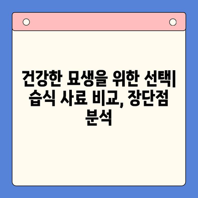 반려묘 습식 사료 비교 테스트 & 간식 추천| 헤일로 키튼캔 vs 로얄캐닌 파우치 | 고양이 건강, 습식 사료, 간식 추천