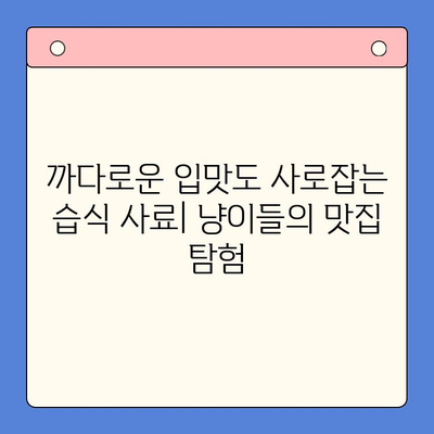 반려묘 습식 사료 비교 테스트 & 간식 추천| 헤일로 키튼캔 vs 로얄캐닌 파우치 | 고양이 건강, 습식 사료, 간식 추천