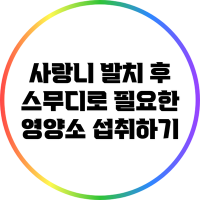 사랑니 발치 후 스무디로 필요한 영양소 섭취하기